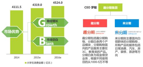 分期電商市場深度調(diào)研 現(xiàn)狀、機遇與挑戰(zhàn)